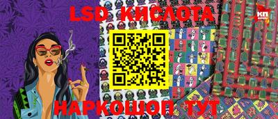 дурь Сланцы