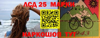 дурь Сланцы