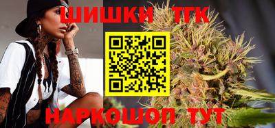 дурь Сланцы