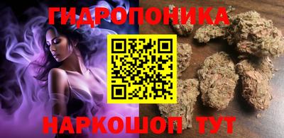 твердый Славгород