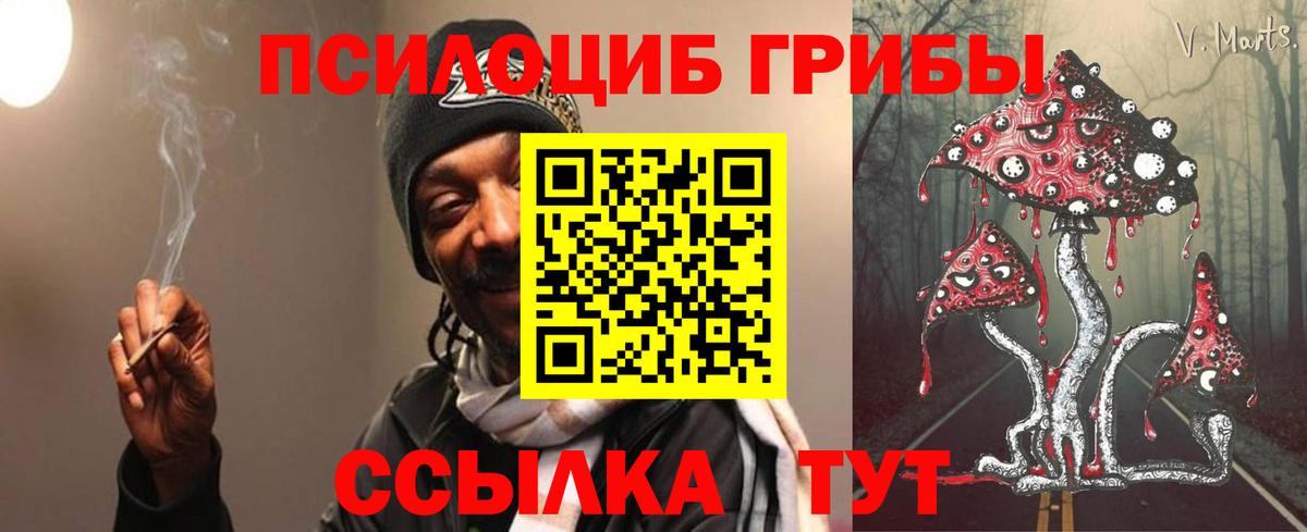 Набережные Челны  Галлюциногенные грибы Magic Shrooms  наркота  Вход с VPN  Псилоцибиновые грибы мицелий 